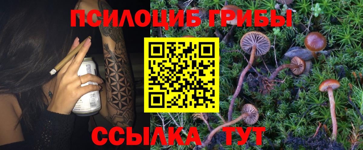 Галлюциногенные грибы GOLDEN TEACHER Трёхгорный